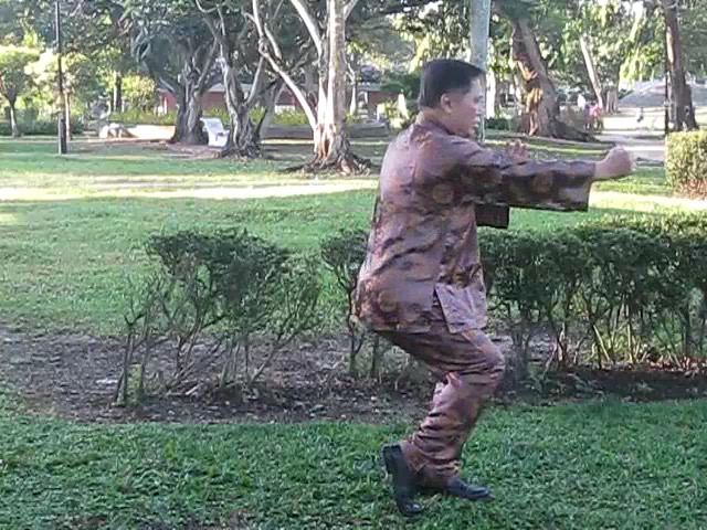 Wu Chuan You Style Taijiquan